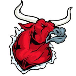 Red Longhorn Logo - High School Sports. Altamont Basketball (Boys) Schedule