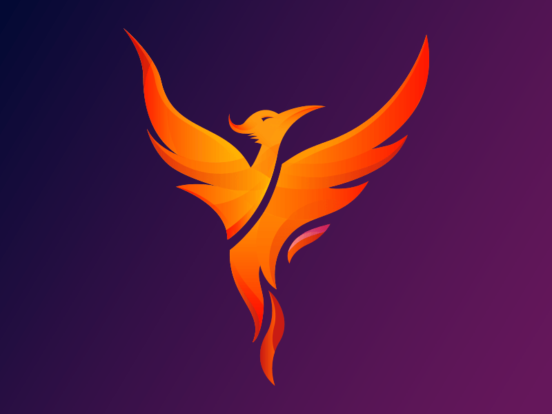 Purple Phoenix Logo - Phoenix logo by David Dvořáček | Dribbble | Dribbble