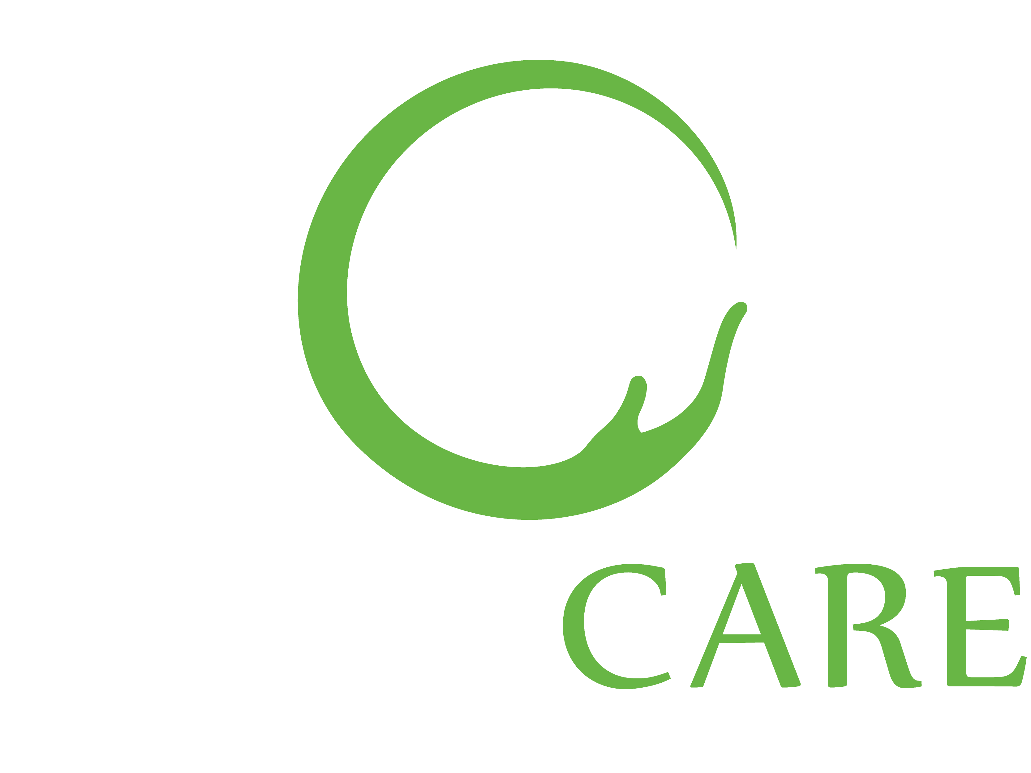 Care Logo - Eidyn-Care-logo-01-2 copy | Eidyn Care - Home Care Providers
