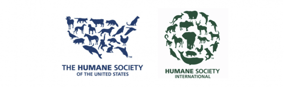 World Charity Logo - Best Nonprofit Logos Logos (2016 Edition)