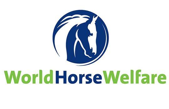World Charity Logo - World Horse Welfare chosen horse charity for Queen's Diamond Jubilee