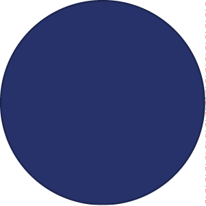 Dark Blue Circle Logo - Logos | British International School, Phuket