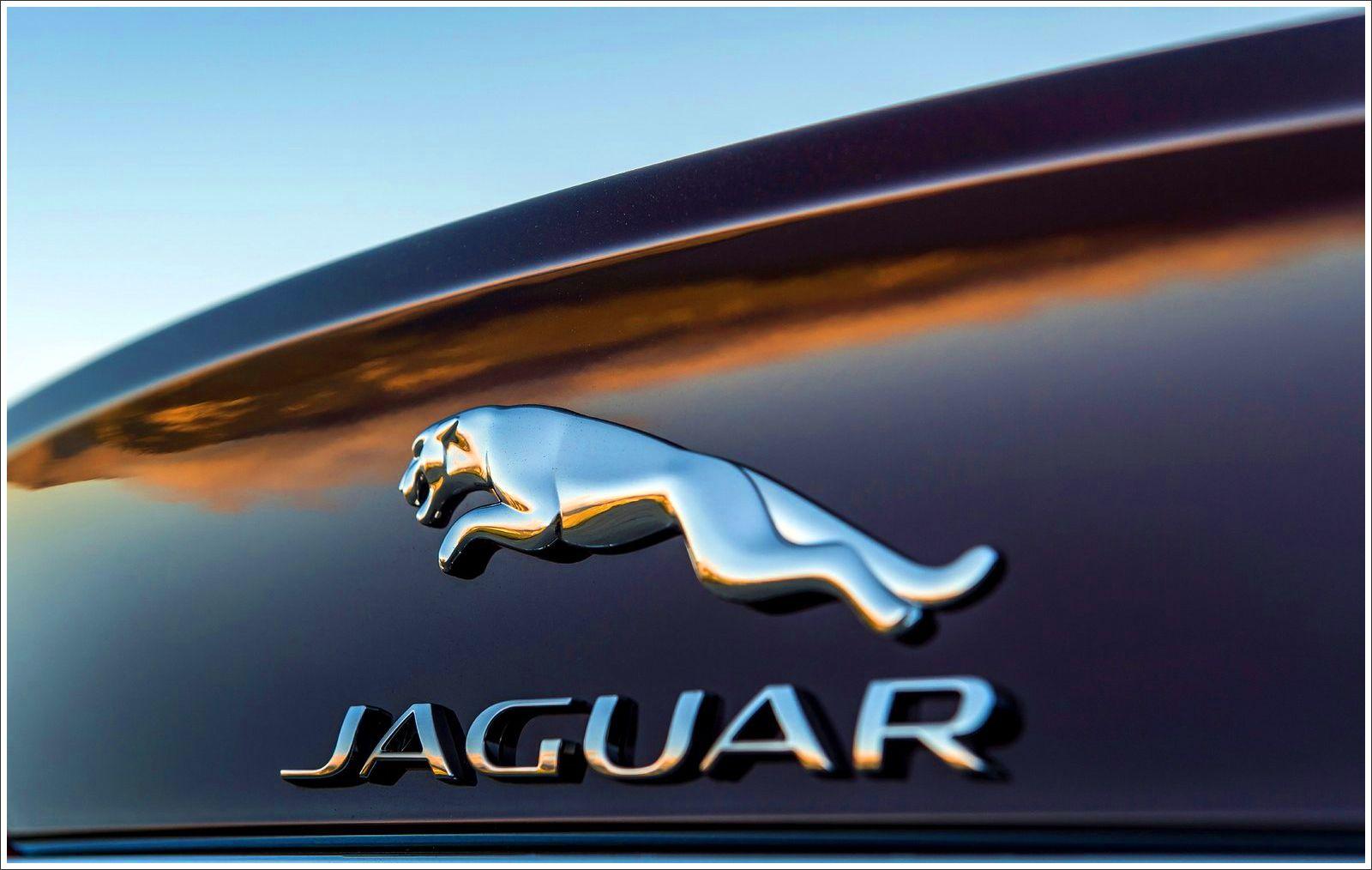 Jaguar Logo - Jaguar Logo Meaning and History, latest models | World Cars Brands