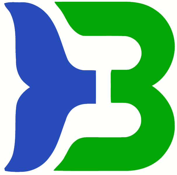 B Sports Logo - Binghamton Whalers. American Hockey League