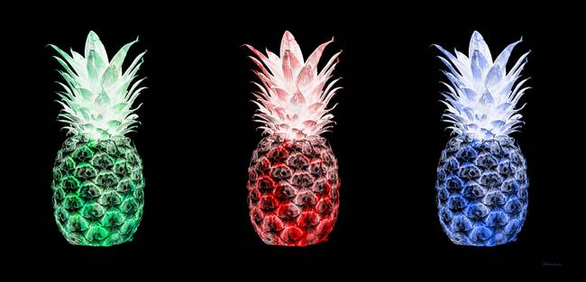 Red Blue Pineapple Logo - Triptych 14M2 Pineapples Green Red Blue Cuisine by Ricardos Creations