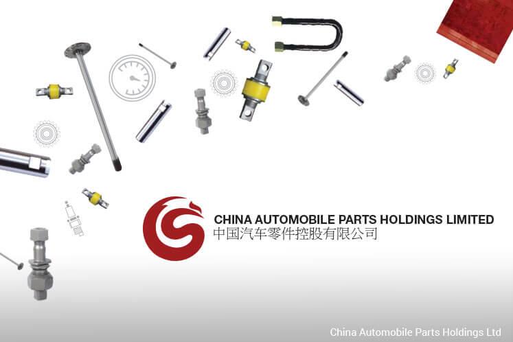 Automobile Parts Logo - Bursa directs China Automobile Parts to have 1Q results reviewed ...