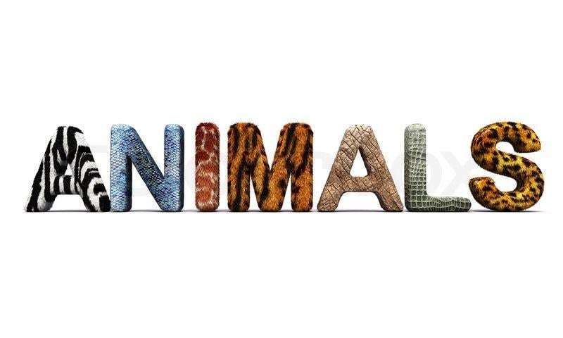 Weird Animals Logo - Amazing Animals: 10 Weird Lookin' Animals – EMS Sound