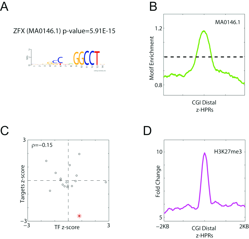 N and Z Logo - Figure S12. ZFX Is Associated With SK N SH_RA Z HPRs. A. ZFX Motif