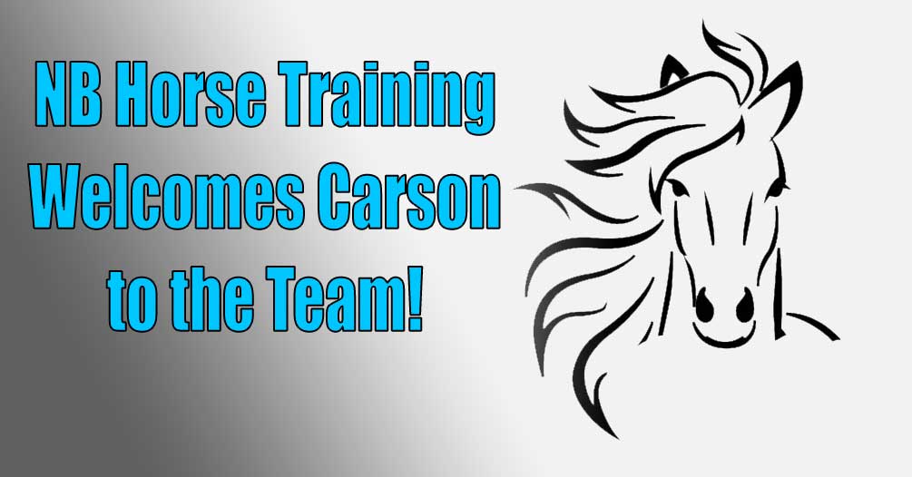 Horse Training Logo - NB Horse Training is Adding a New Team Member! - NB Horse Training