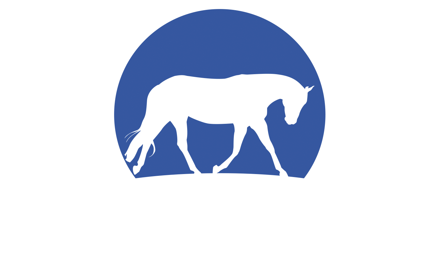 Horse Training Logo - Home. Steady Horse Training