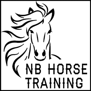 Horse Training Logo - Horse Riding Lessons, Horse Seminars, Horse Clinics | NB Horse Training