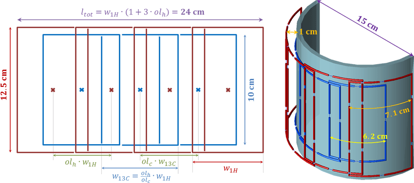 Red and Blue Nested C Logo - Left) 2D schematic of the proposed RF coil design. Red : 4 channel 1