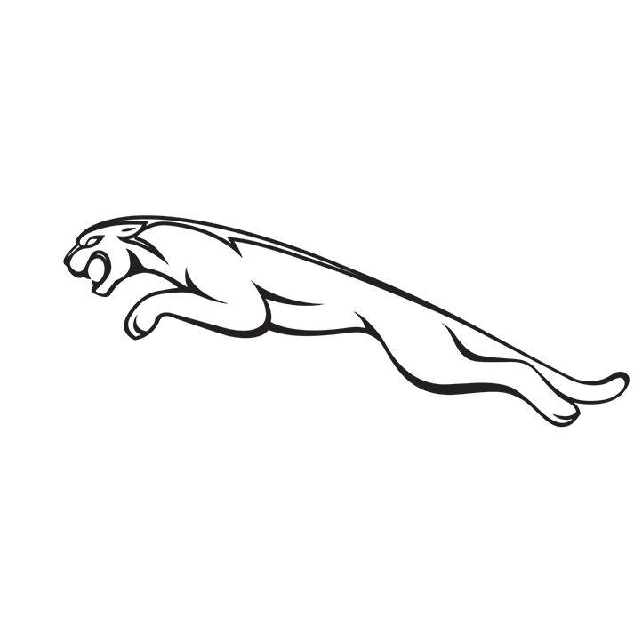 Jaguar Logo - A Puma is not a Jaguar. Or is it? | Knijff Trademark Attorney