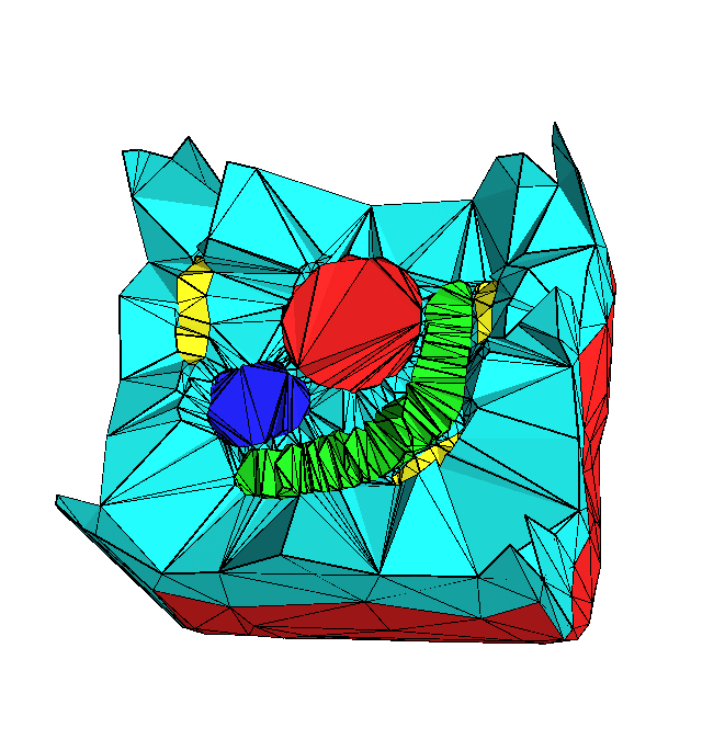 Red and Blue Nested C Logo - For the nested tessellated solids in (a) for a phantom pelvis (red