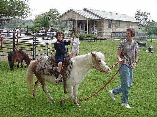 Flying L Horse Logo - Kid's Activities with Pony Rides - Picture of Flying L Ranch Resort ...