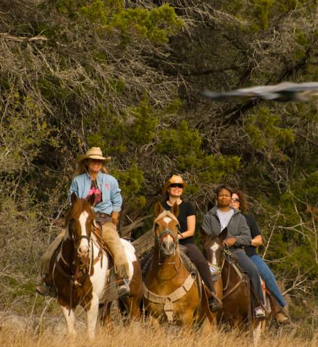 Flying L Horse Logo - Flying L Ranch Resort, Bandera, TX