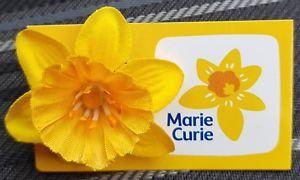 Yellow Flower Brand Logo - Brand New MARIE CURIE YELLOW FLOWER Pin Badge SAME DAY DISPATCH