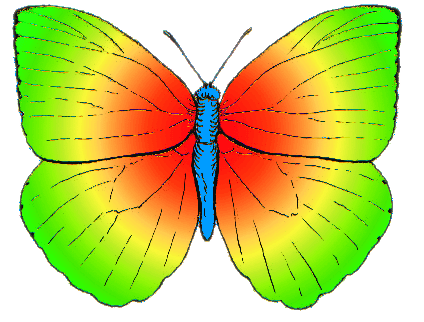 Rainbow Colored Butterfly Logo - Butterfly rainbow colored.png