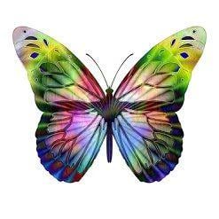 Rainbow Colored Butterfly Logo - Meaning of Seeing Certain Colored Butterflies