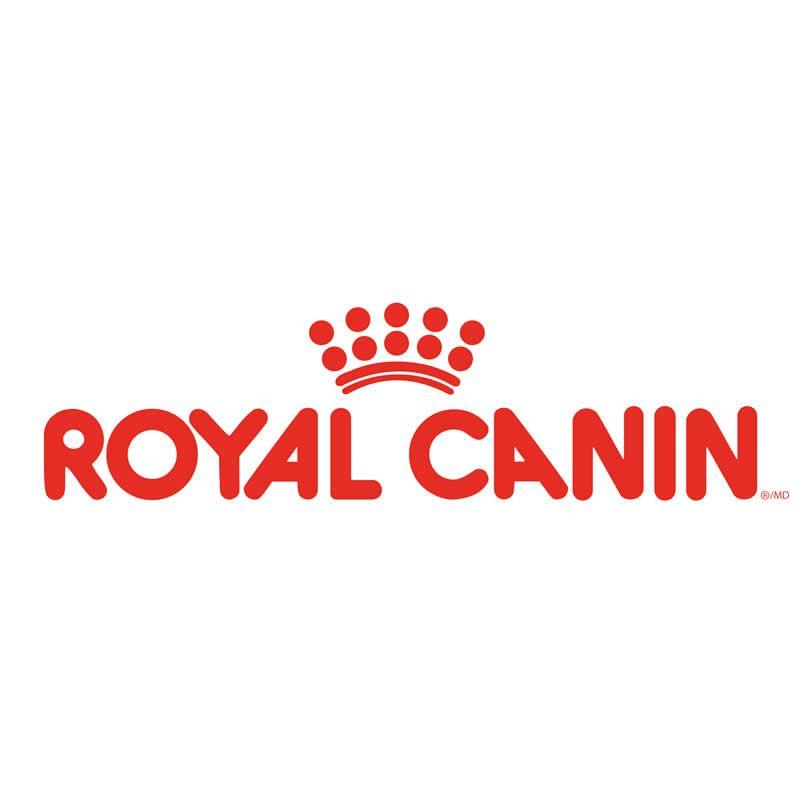 Dog Food Brand Logo LogoDix