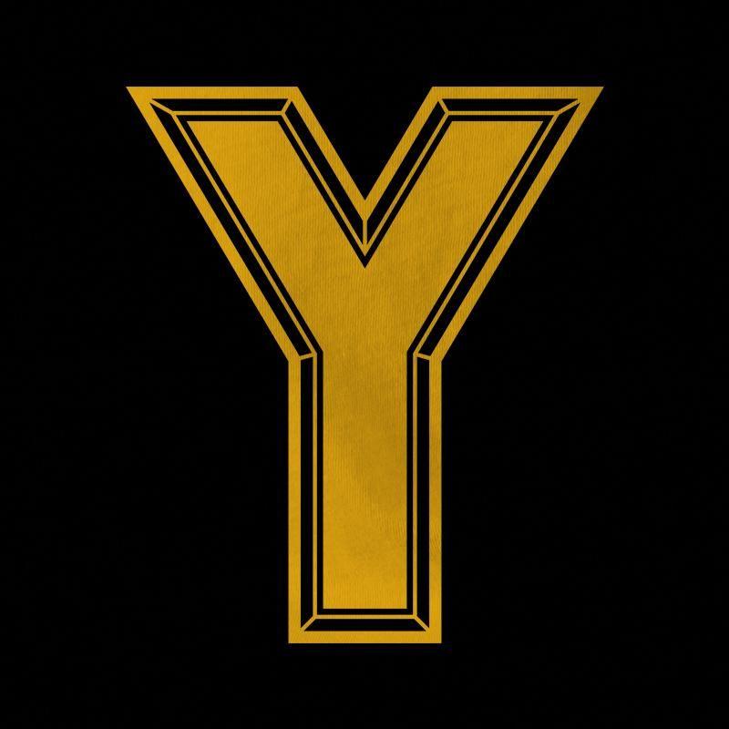 Y Logo - Y Logo T Shirt