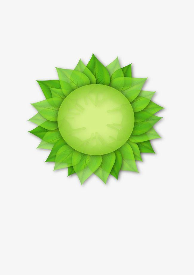 Green Sunflower Logo - Green Sunflower, Sunflower Clipart, Green, Flowers PNG and PSD File ...