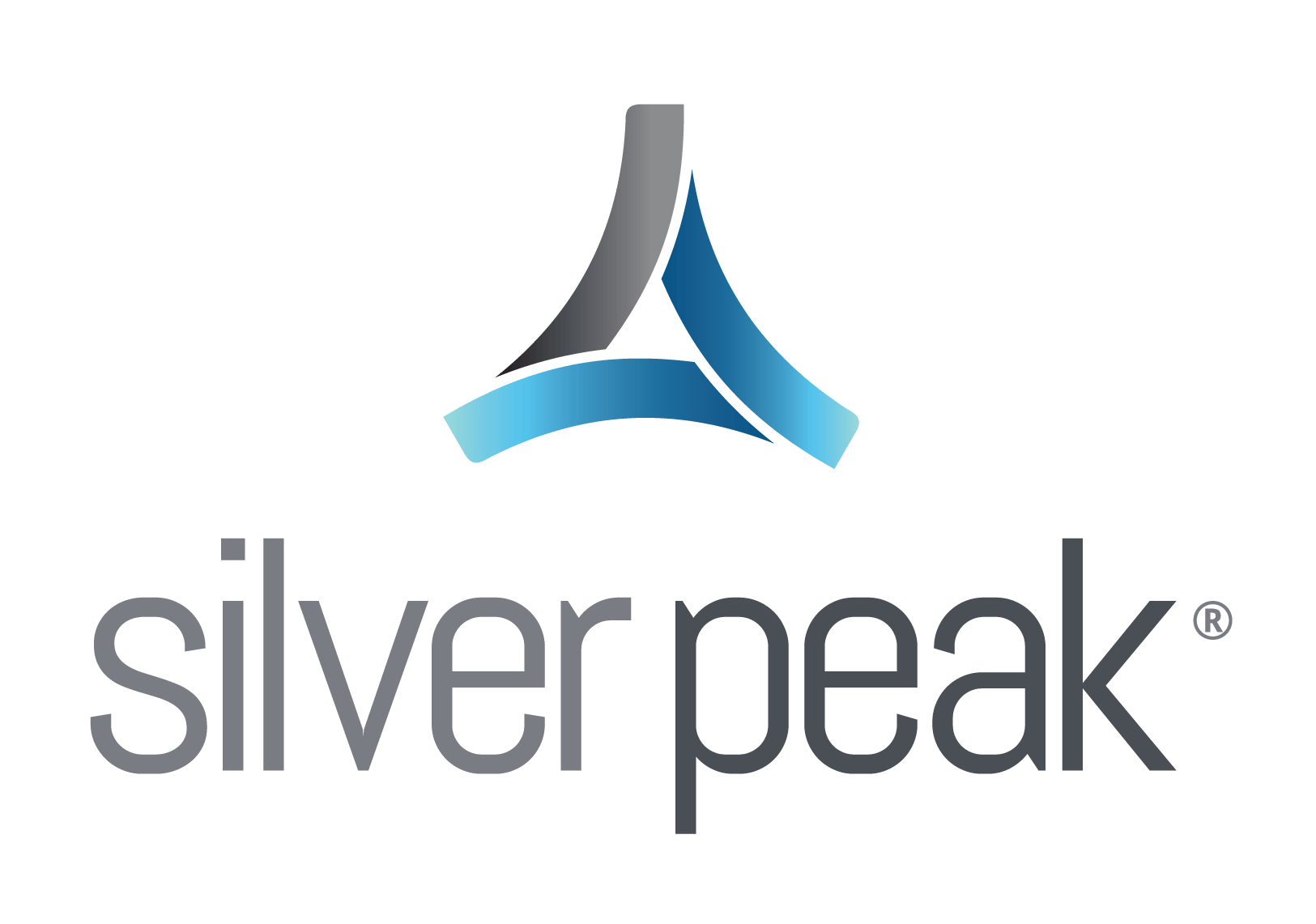 Peak Logo - Media Center | Silver Peak