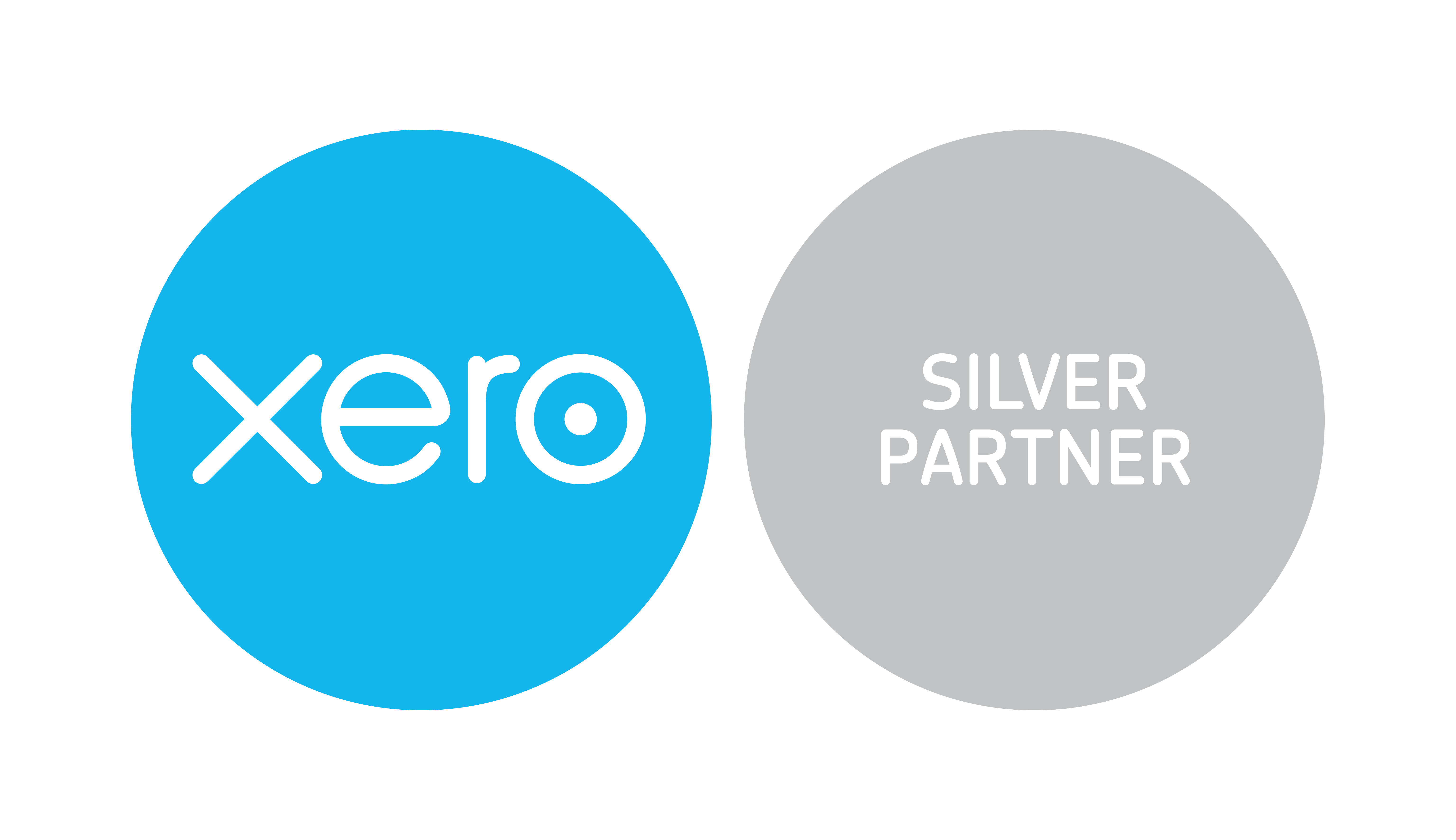 Silver Silver Logo - xero-silver-partner-logo-RGB (2) - Mostons