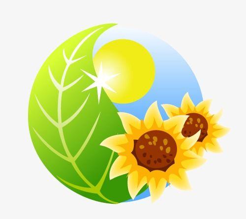 Green Sunflower Logo - Sunflower Vector Art Green Leaf Round, Round Art, Sunflower, Green ...
