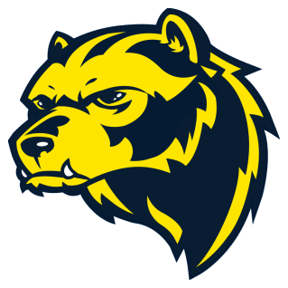 University of Michigan Wolverines Logo - Wolverine logo | | GO BLUE - []V[]ICHIGAN | | Michigan wolverines ...