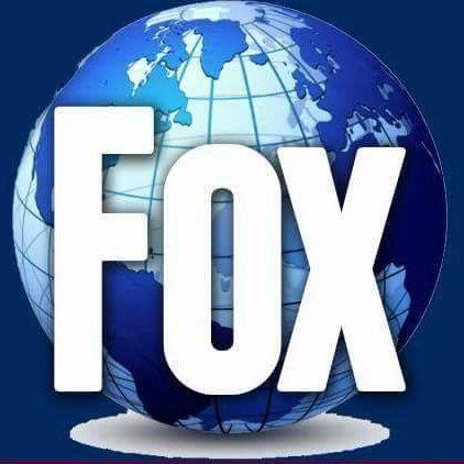 Globe Technology On Fox Logo - Punjabi Fox Times