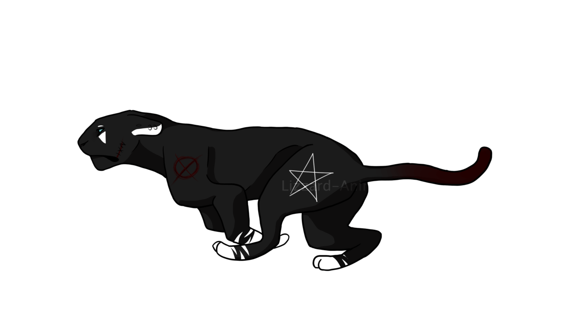 Running Black Cat Logo - Running black cat picture transparent stock - RR collections