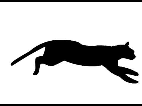 Running Black Cat Logo - cat animation, Motion Study - YouTube