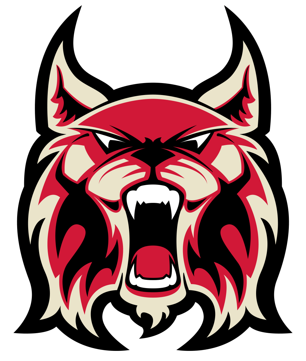 Cat Sports Logo - Sports Logo & Branding — The Fierce Pixel