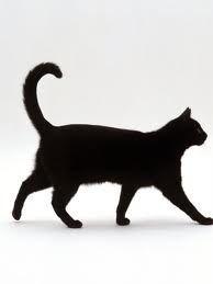 Running Black Cat Logo - running cat « Adopt A LAPCAT