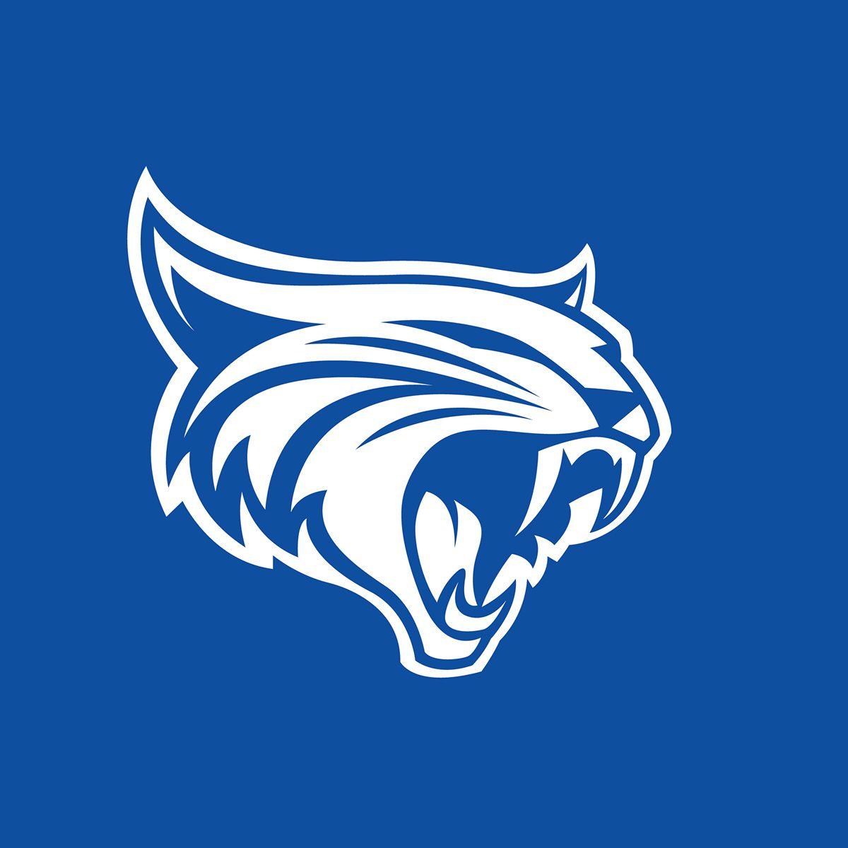 Cat Sports Logo - Wildcats on Behance | Mascot Branding And Logos | Logo design, Logos ...