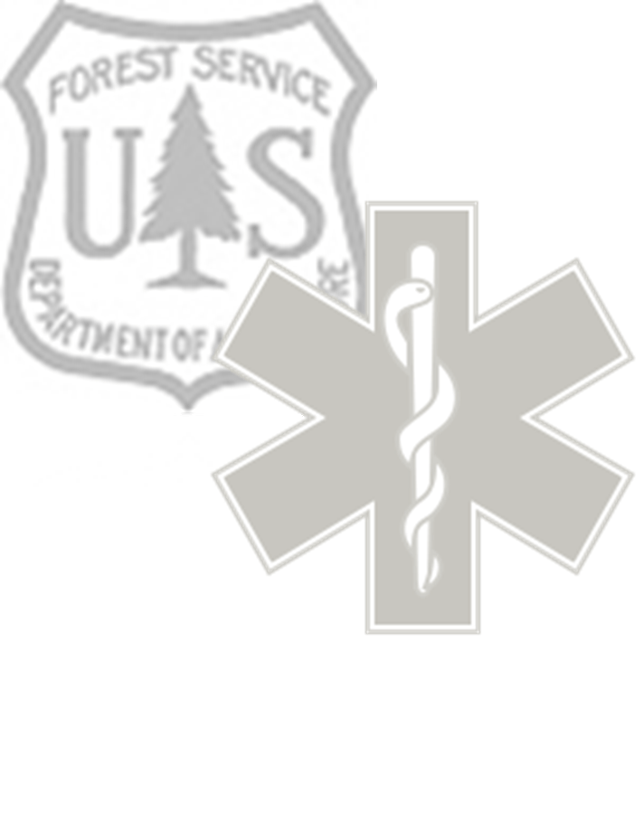 Search and Rescue Medical Cross Logo - EMS / SAR. Teton Interagency Fire