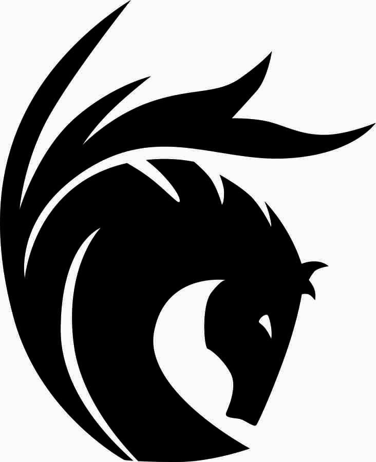 UCF Pegasus Logo - UCF Pegasus Winterguard Spirit Gear