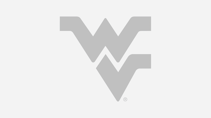 MSN Homepage Logo - West Virginia University Athletics Athletics Website