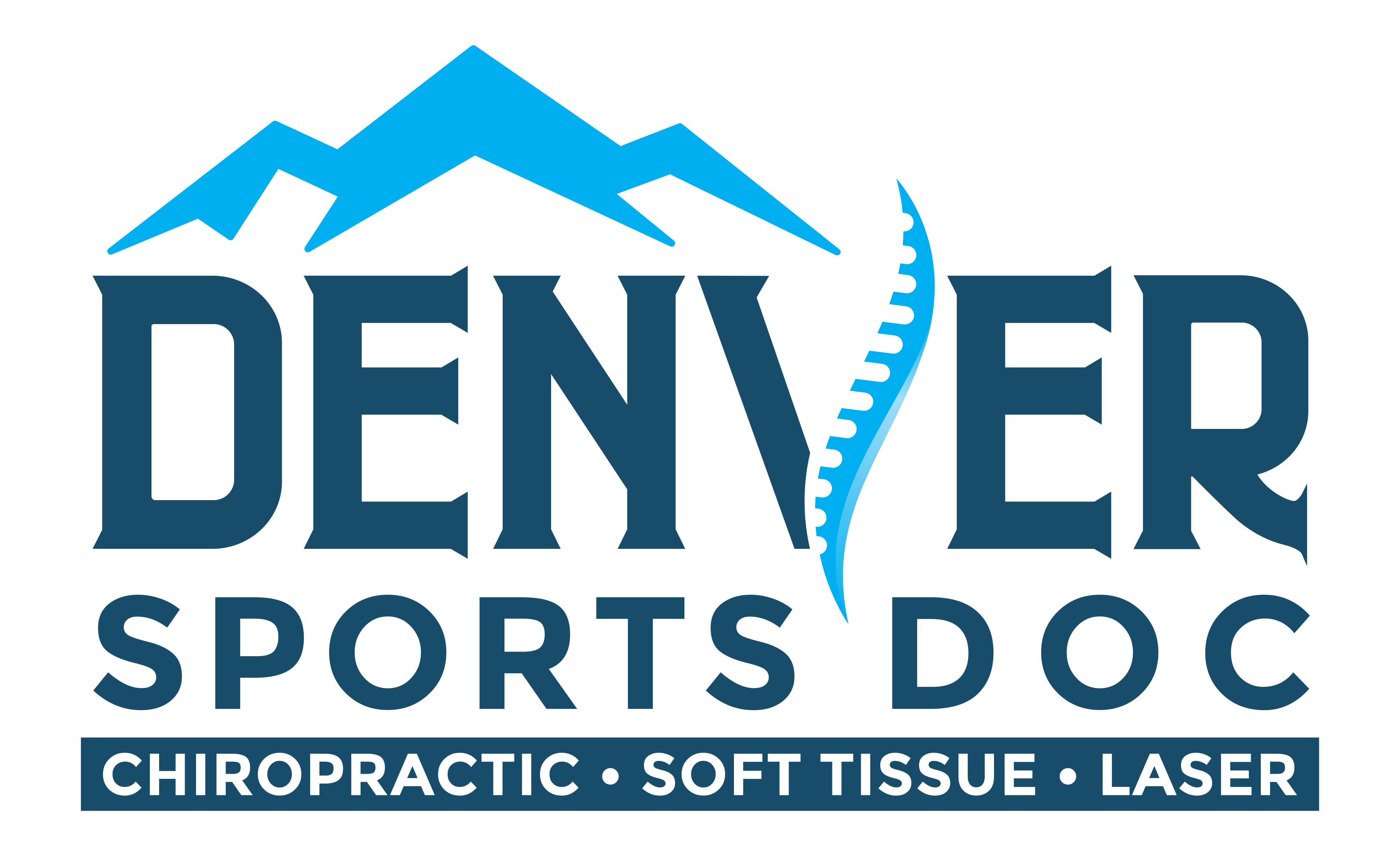 Denver Sport Logo - Denver Sports Doc. Chiropractic • Soft Tissue • Laser in Thornton, CO