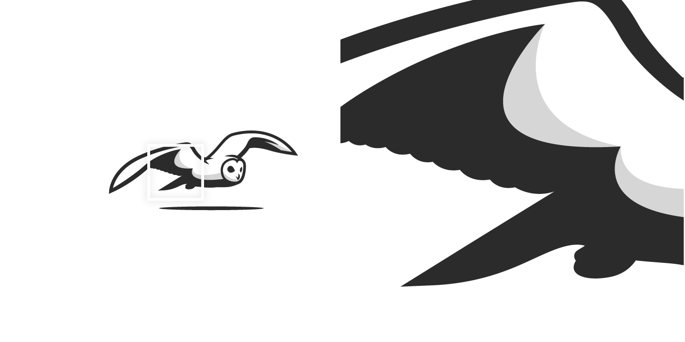 Flying Owl Logo - Enzo ANCENIS - Logo - Flying Owl