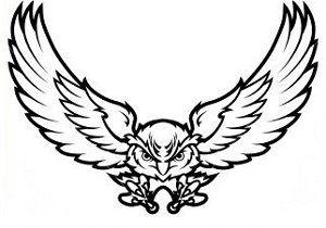 Flying Owl Logo - Owl Flight 5K