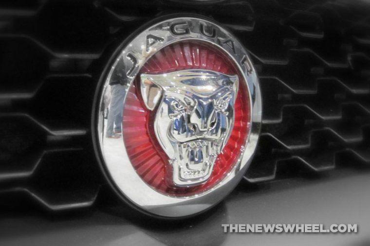Jaguar Logo - Behind the Badge: The Ferocious Jaguar Emblem and What It Represents ...