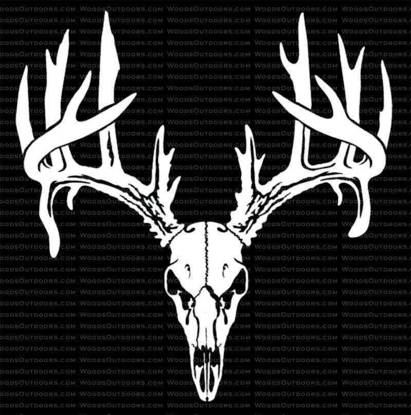 Drop Tine Logo - Double Droptine Whitetail Buck Skull - Deer Hunting Window Decal
