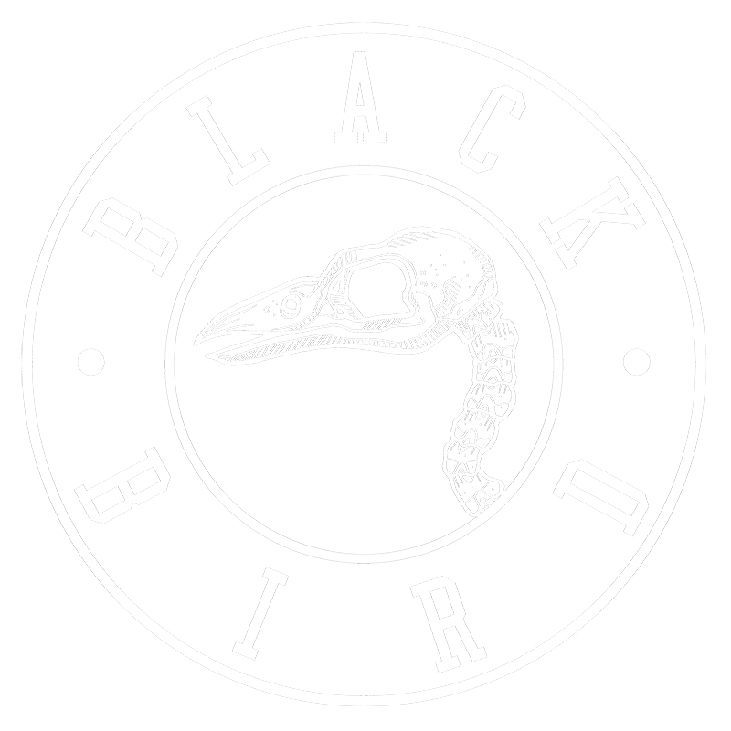 Black Bird in Circle Logo - BLACKBIRD ENTERTAINMENT
