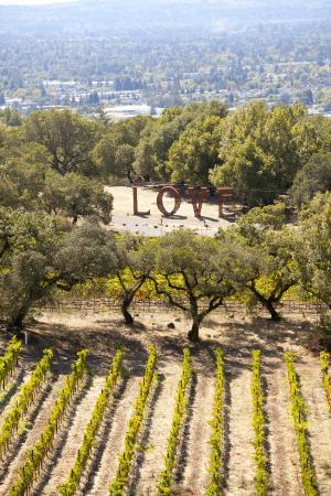 Paradise Ridge Logo - Love sign view from winery - Picture of Paradise Ridge Winery, Santa ...