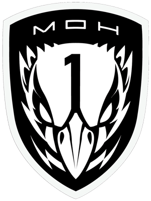 Black Bird in Circle Logo - Task Force Blackbird. Medal of Honor