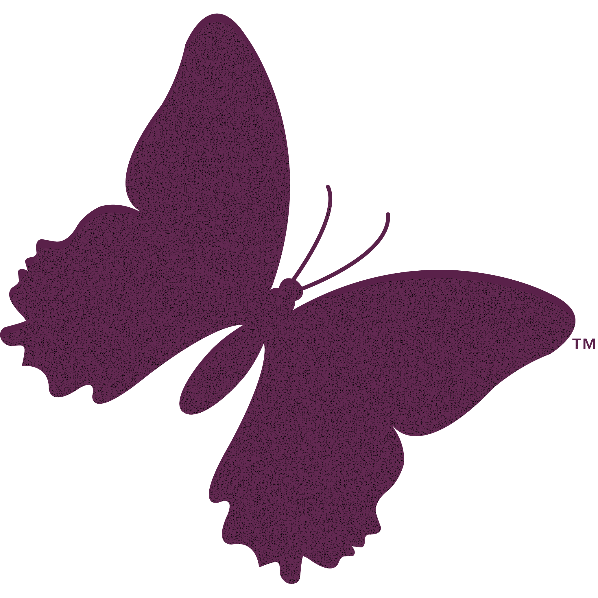 Butterfly Face Logo - MLD Foundation - Metachromatic Leukodystrophy - We Care