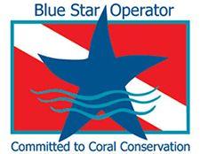 Red and Blue Star Logo - Bluestar