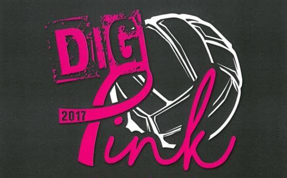 Pink Night Logo - Dig Pink Night - HC Volleyball — Inspired by Hastings